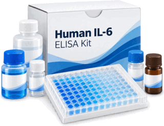 Boxed Human IL-6 ELISA kit with reagent bottles and a microplate