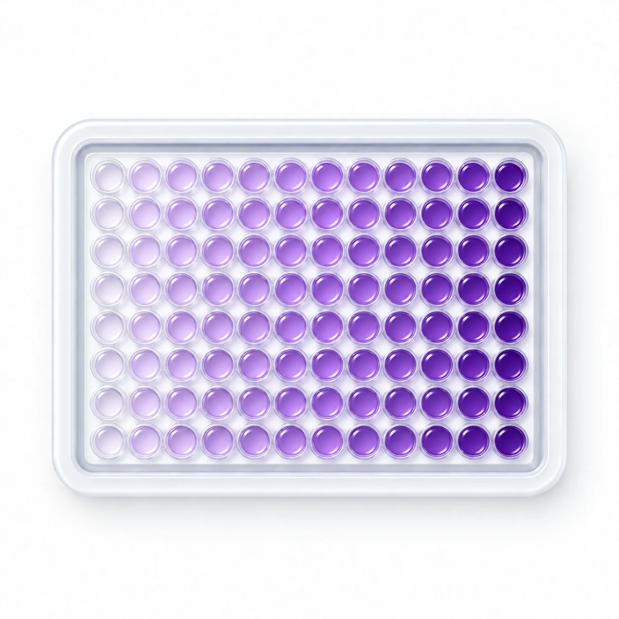 96-well plate seen from above, its wells shading from pale to deep purple across the columns